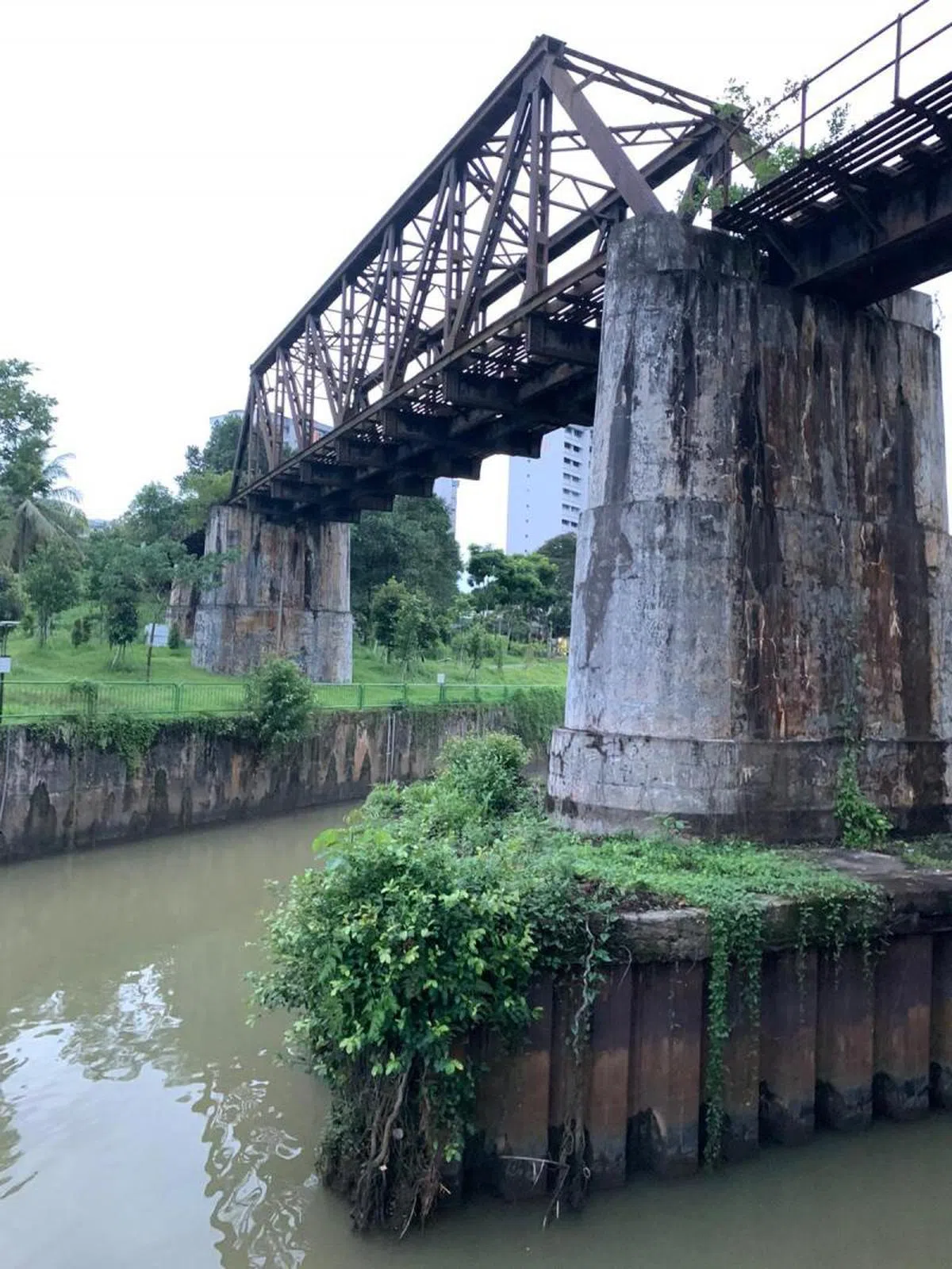  桥墩上长满了流浪的植物，像是一个被人遗忘的时代纪念碑。（叶孝忠摄） 