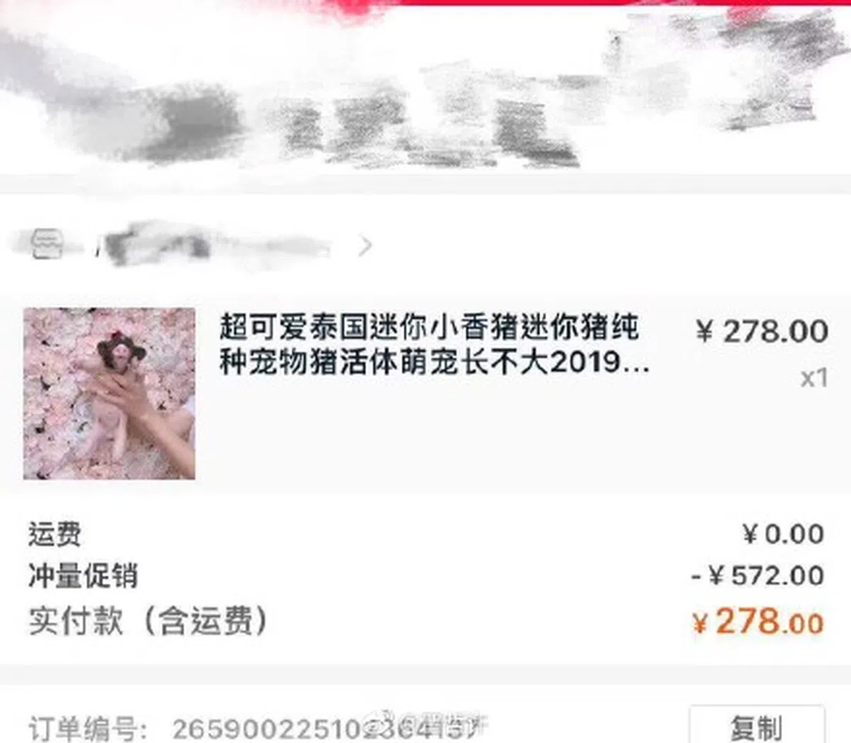  （互联网） 