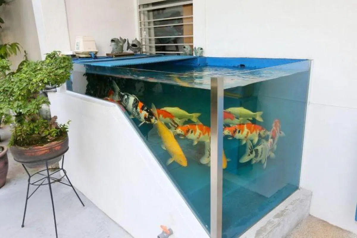  淡滨尼41街组屋一名一楼住户在自家门前梯级筑起约一米高的鱼缸，后来引起关注被勒令拆除。（海峡时报） 
