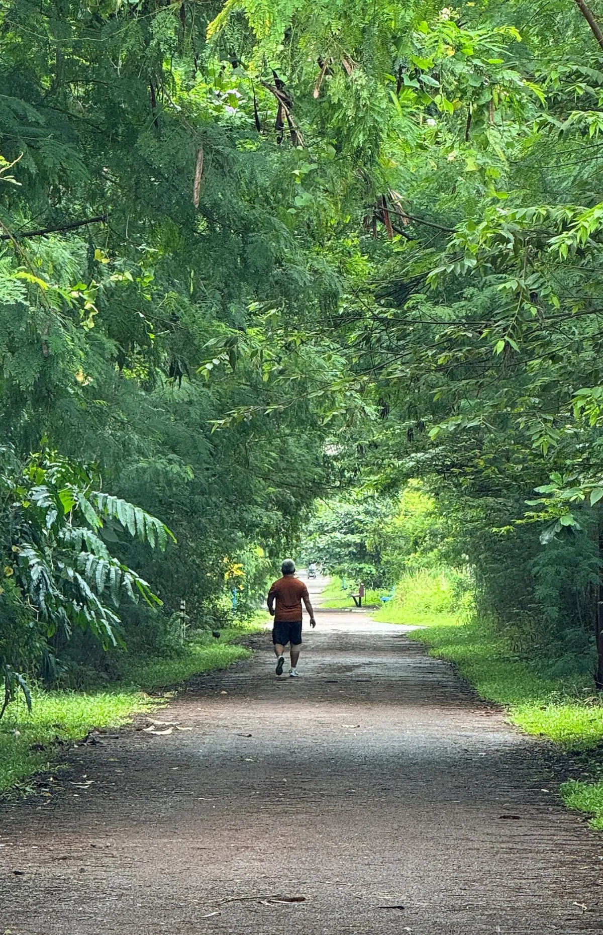 这不是其他国家，而是新加坡铁道走廊的一部分噢。（市区重建局提供）