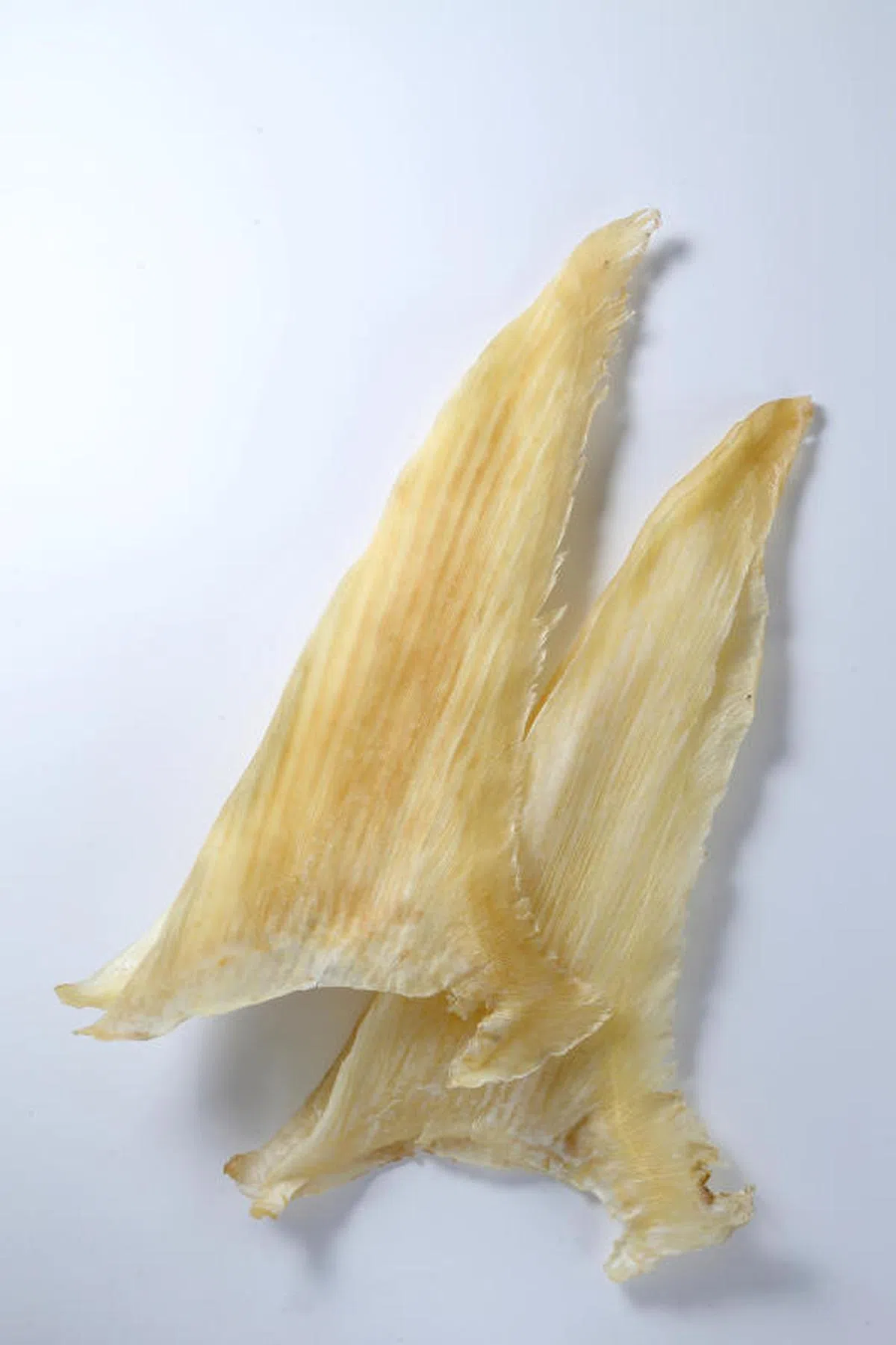 新加坡市面出售的鱼翅经抽查发现来自27种鲨鱼其中三种极度濒危- 红蚂蚁