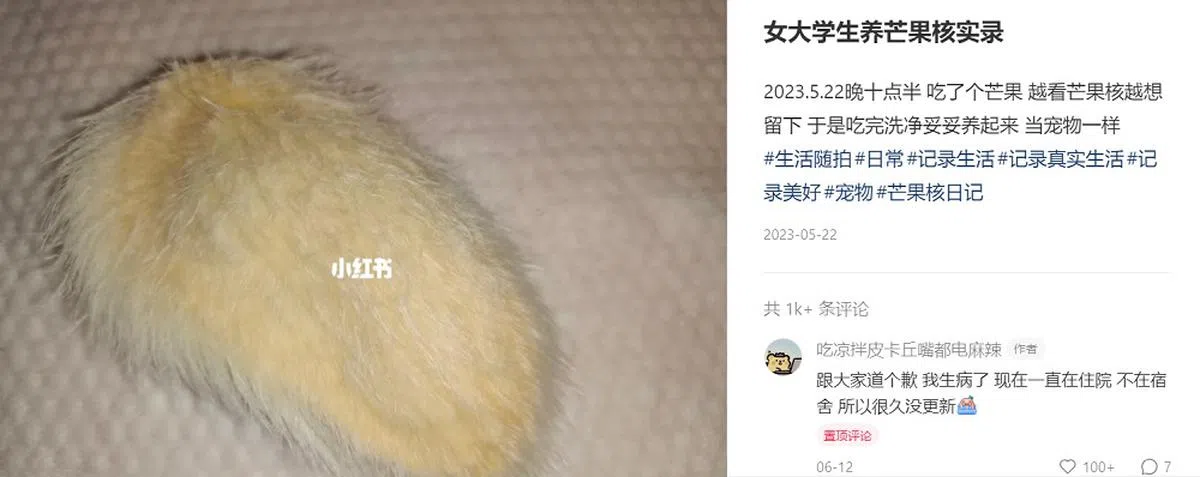 （小红书截图）