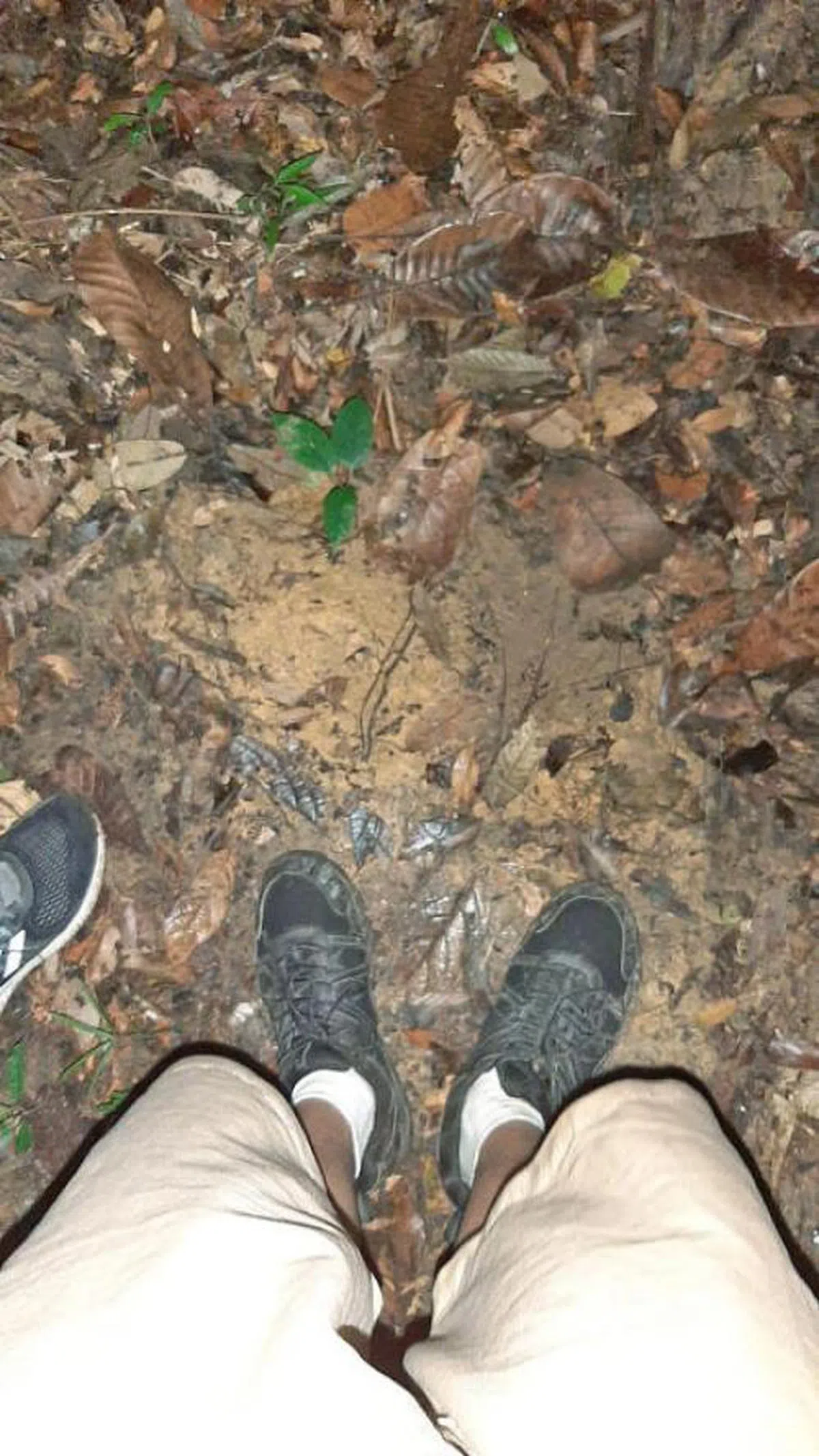  迷路时少年拍摄的照片。（新明日报） 