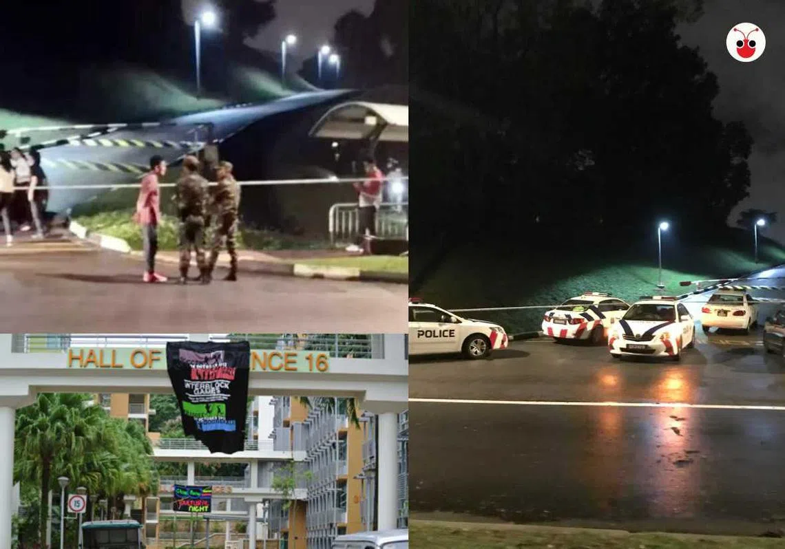 （南大学生提供/新报）