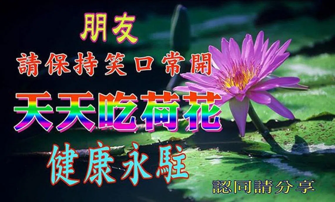 社交媒体平台和聊天软件里无所不在的“问好”图（又称“长辈图”）。（互联网） 