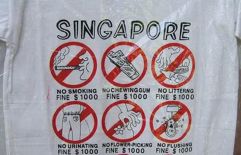 新加坡这些匪夷所思的奇葩条例，你都知道吗？（互联网）