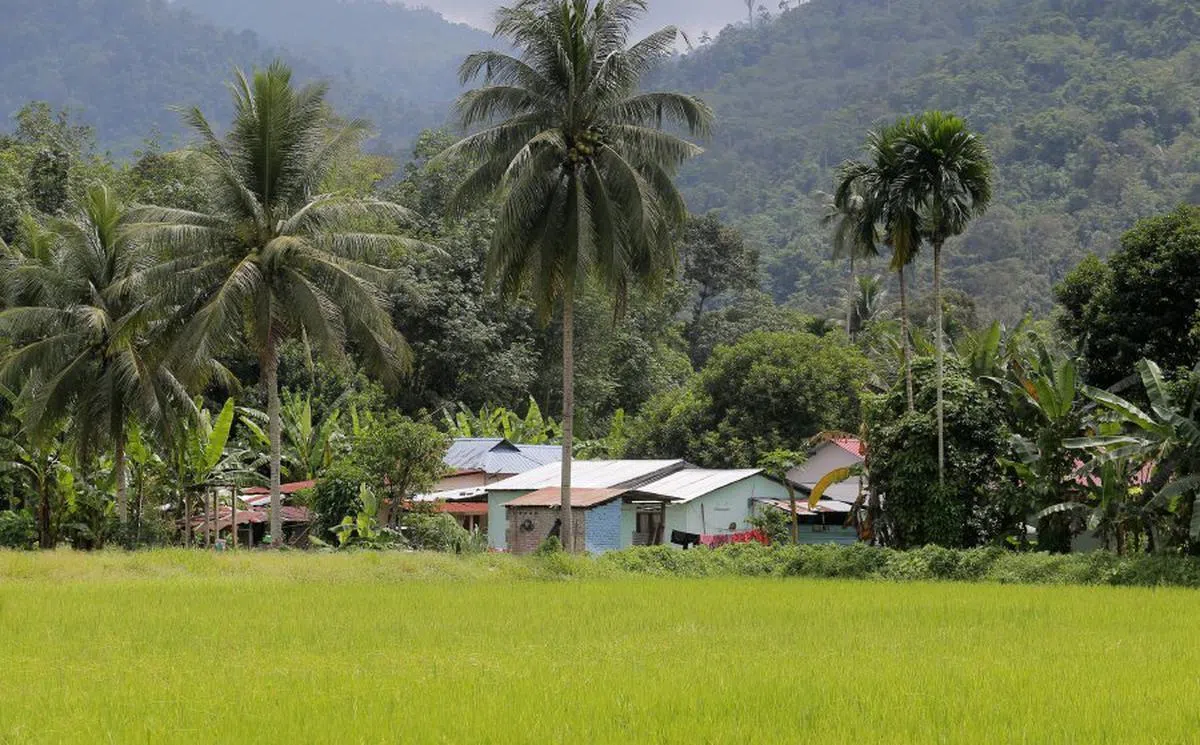  马国相对地广人稀，还有不少人居住在群山环绕的郊区。（新海峡时报） 