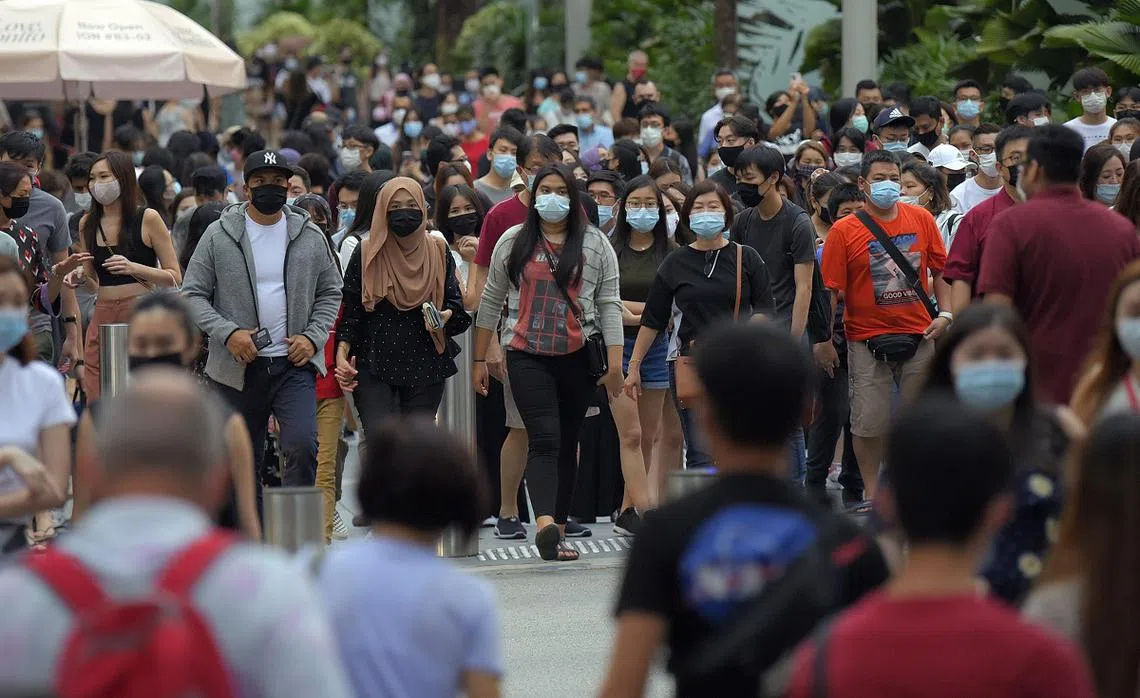 新加坡10年前，每10位受高等教育的大龄女性当中有一人未婚。10年后的今天，每五名高等教育的大龄女性中，就有一人选择不婚。（海峡时报）