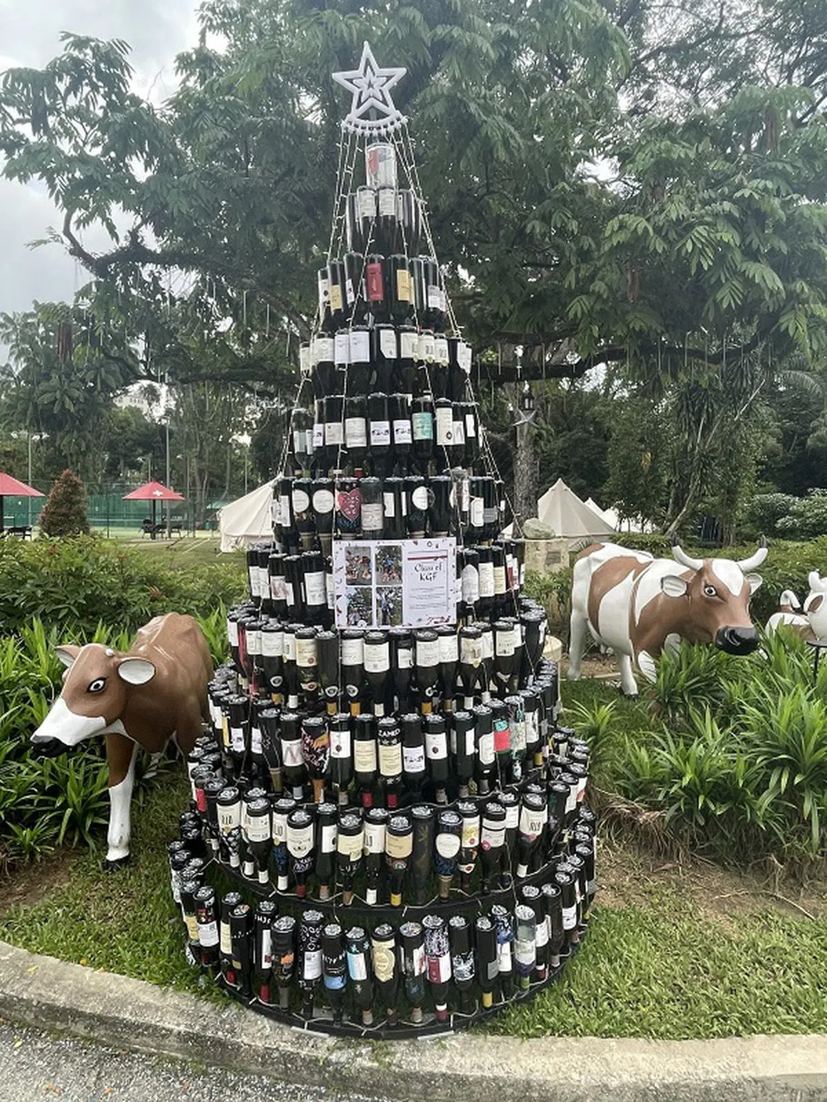 酒瓶成了圣诞装饰。（取自新加坡瑞士学校脸书）