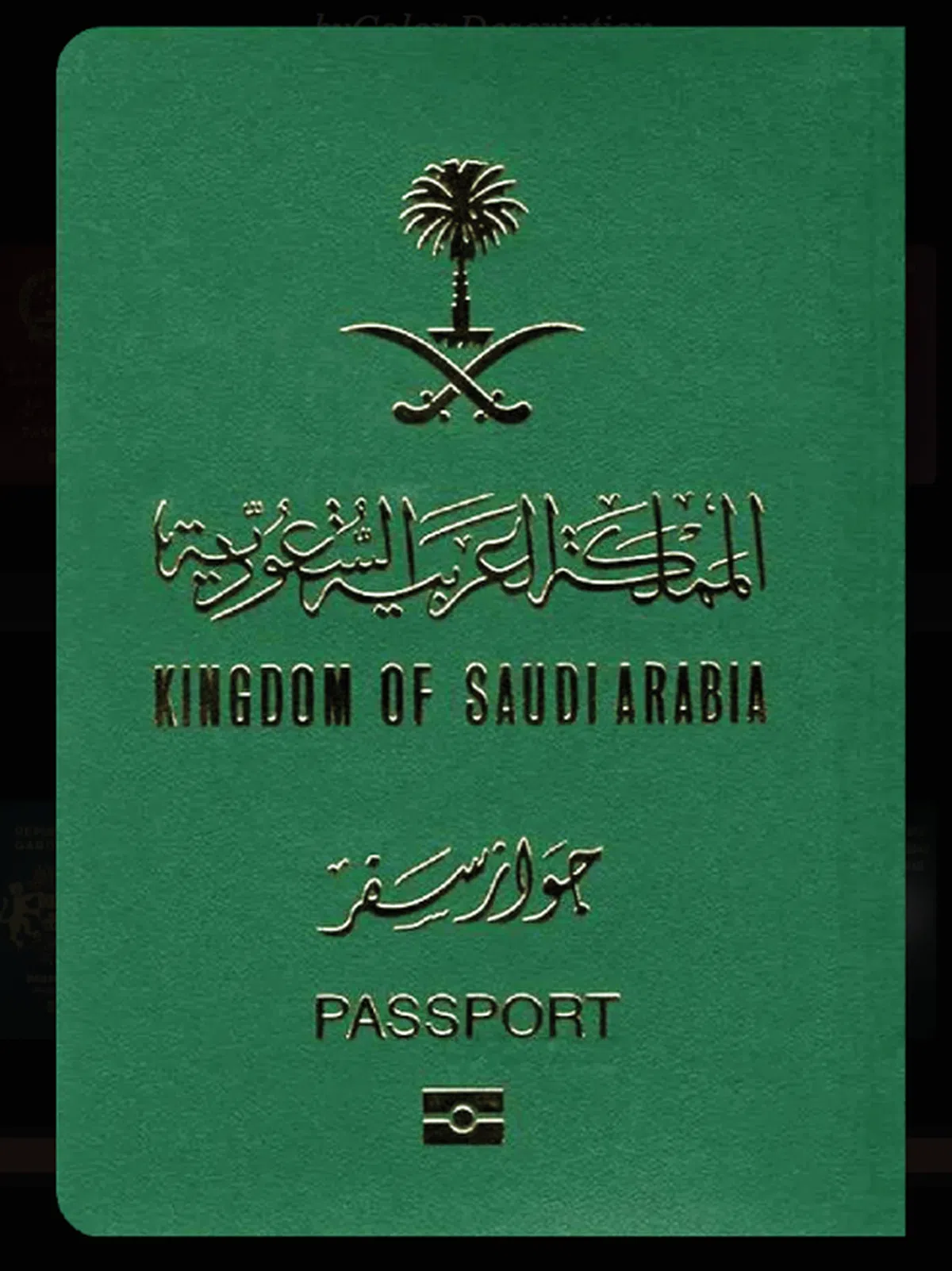 沙特阿拉伯护照。（Passport Index）