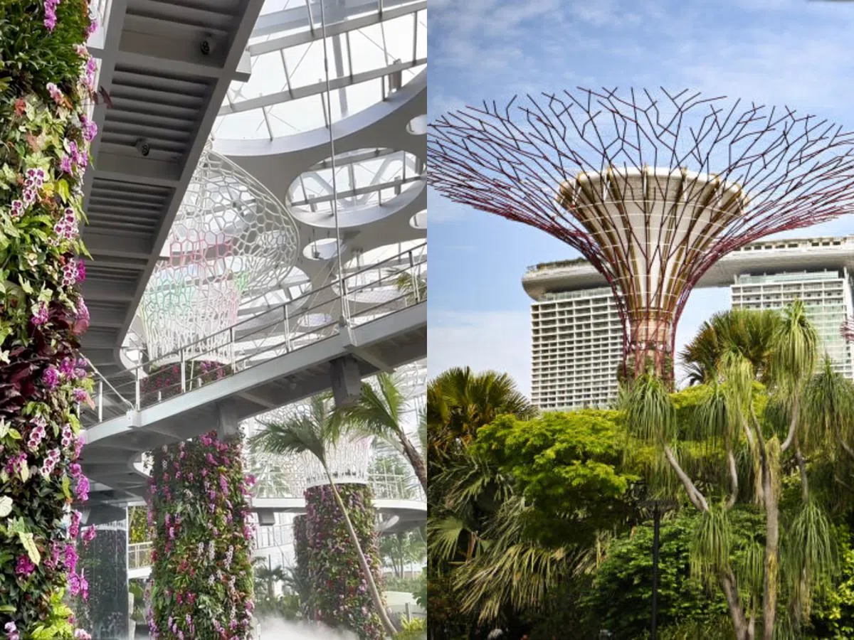 左图为上海的云上森林馆，里头的“树”装置，酷像滨海湾花园的擎天树（右图，Supertree)。（取自noteggtan的TikTok账户/海峡时报）
