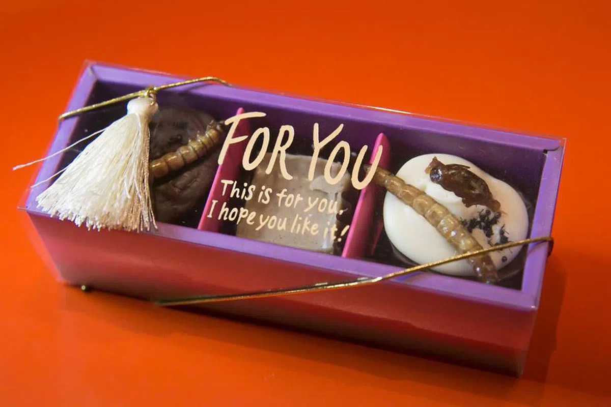  情人节要到了，女生可以把这盒巧克力送给男生，保证心仪的他马上被你吓跑爱上你。（筱原祐太面簿） 