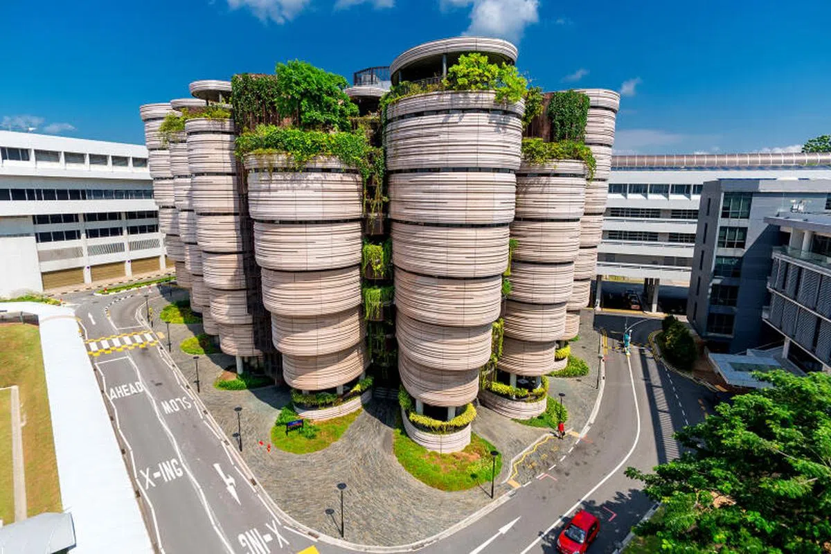  南大学习大楼The Hive。（南洋理工大学） 