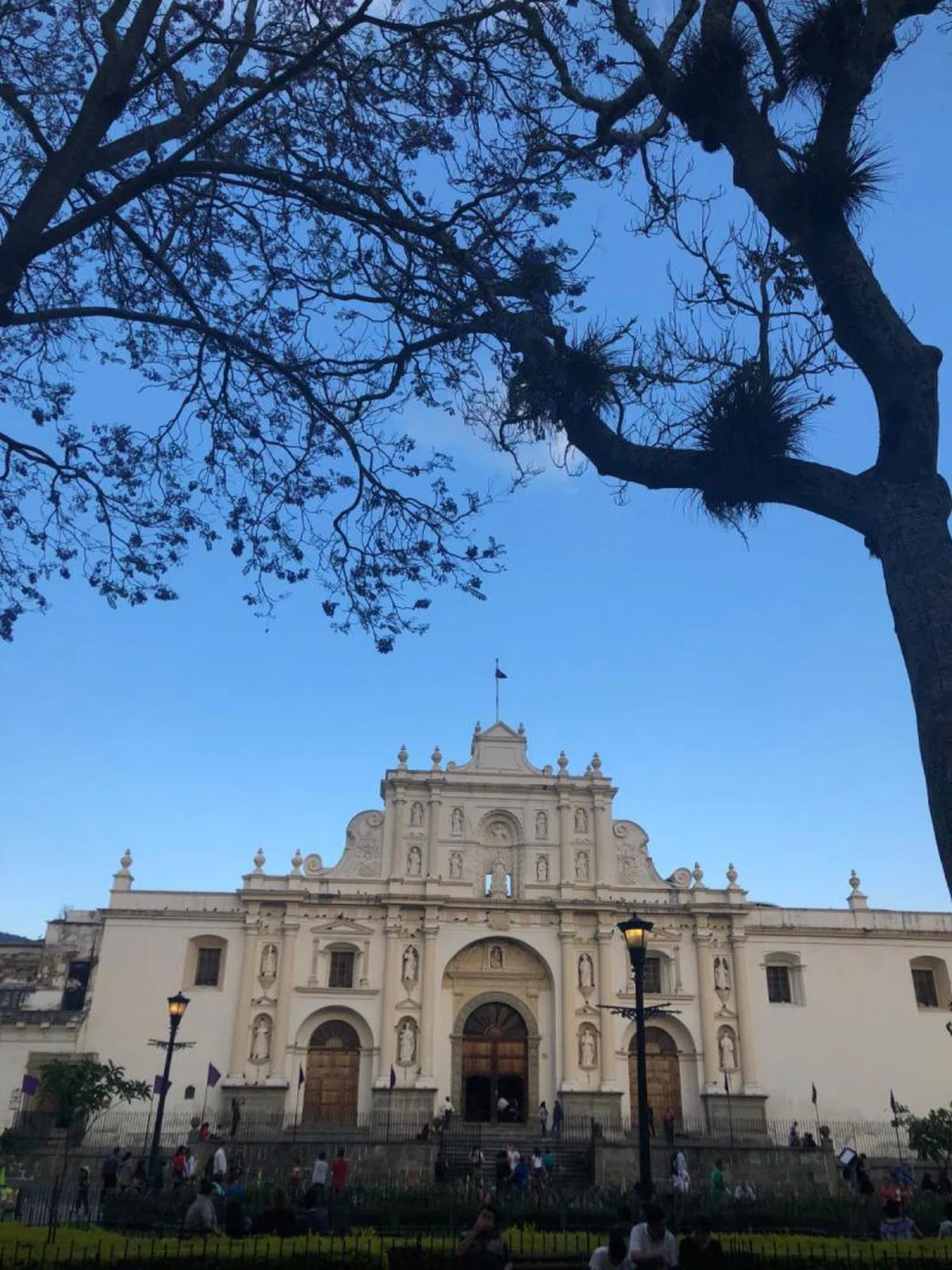 种满了楹树的中央广场是老城最热闹的客厅。（叶孝忠摄）