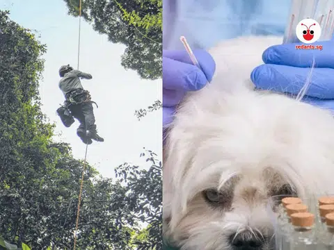 单看照片，蚁粉猜得出这是哪些行业吗？（红蚂蚁制图）