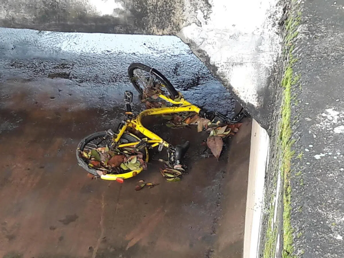  这又是谁扔的？（STOMP） 