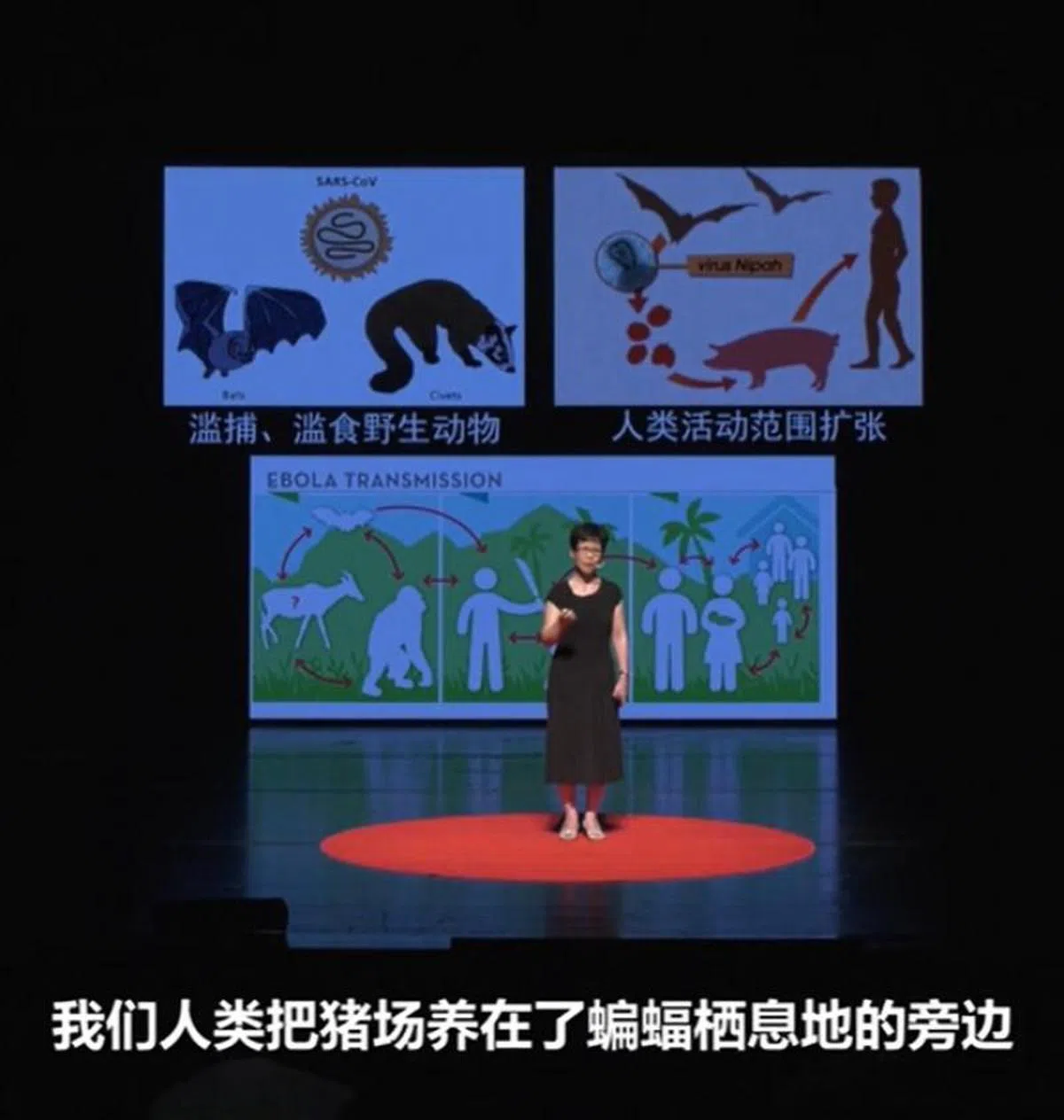  （视频截图） 