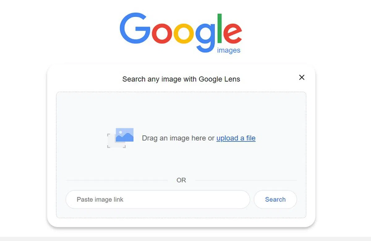 谷歌图像搜索的反向图像搜索功能允许用户利用图像搜索相似的照片，或者上载了相同图像的网页，用户可以借此找出某张图像的出处。（截图）