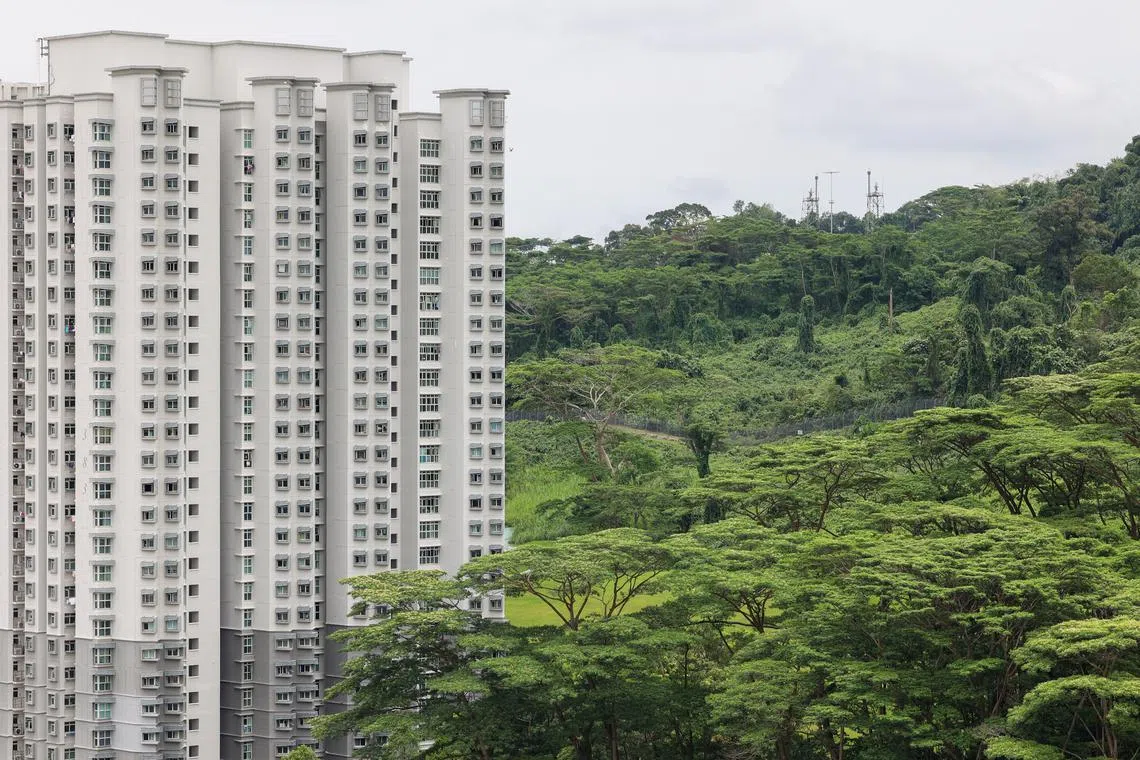 本地政府组屋。（联合早报档案照）