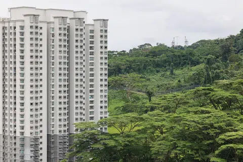 本地政府组屋。（联合早报档案照）