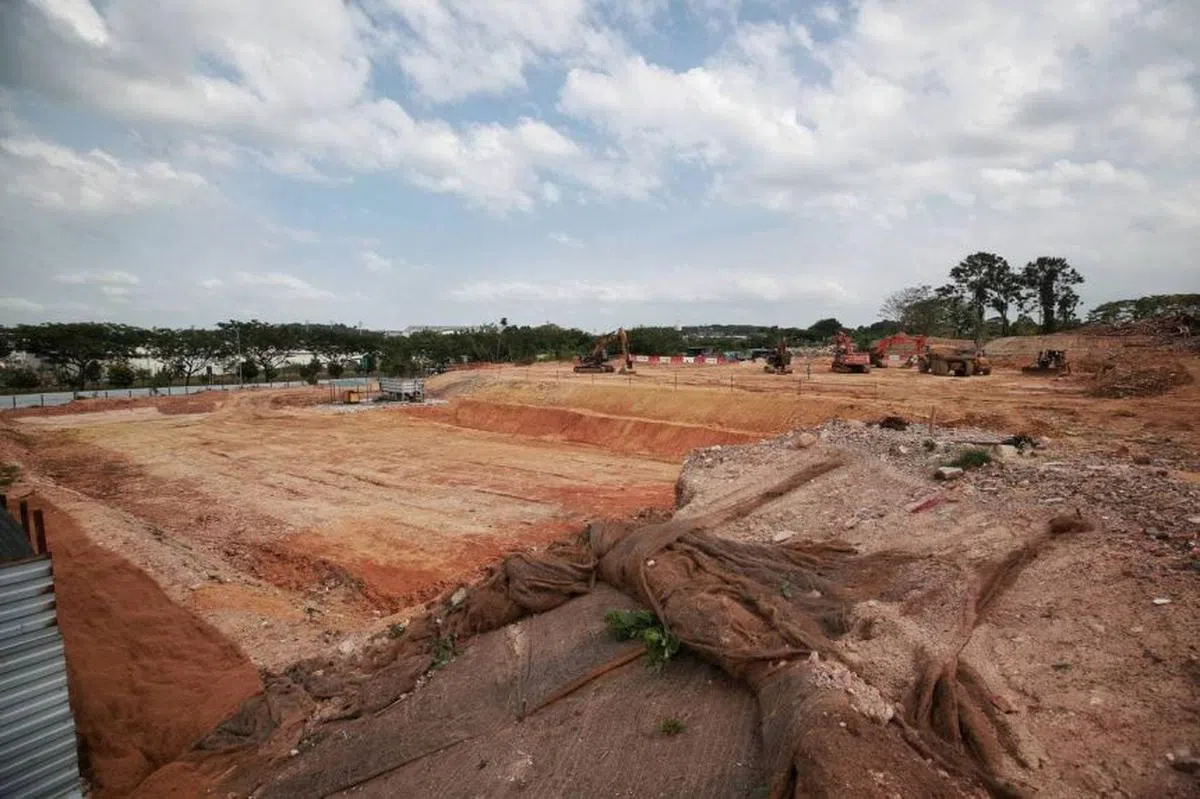  克兰芝林地近拍照，已有部分林地被承包商清除，留下裸露的泥地。（海峡时报） 