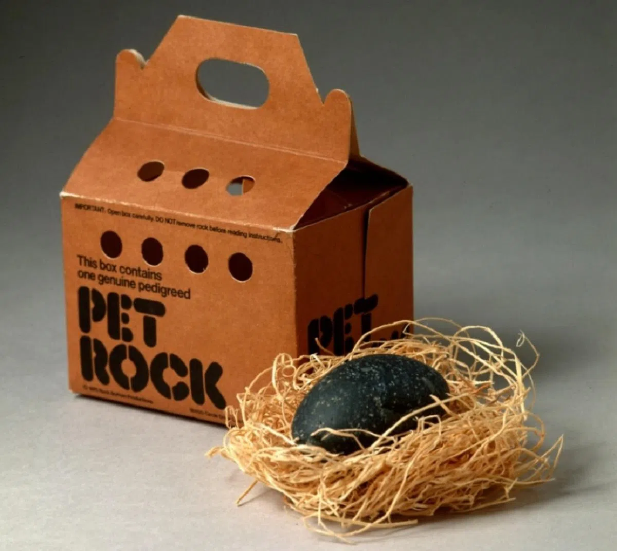 早在1970年代，美国商人达尔就发明了“Pet Rock”这个搞笑的恶作剧玩具。（互联网）