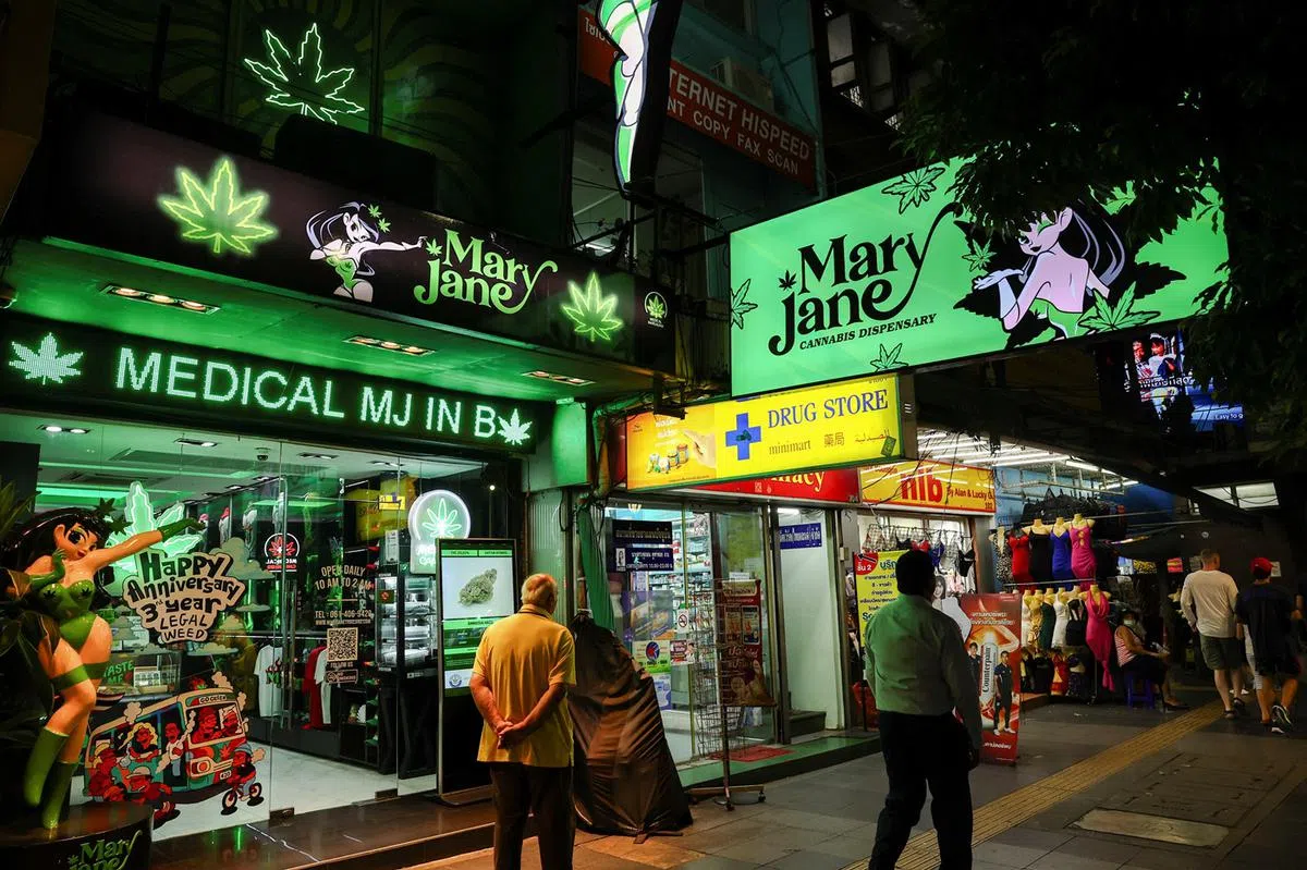 泰国的大麻产品店如雨后春笋般涌现。（路透社）