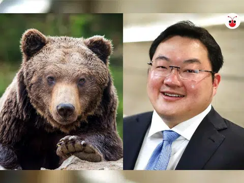 马国总警长阿都哈密表示，包庇刘特佐的国家所提供的搪塞借口，包括刘特佐已经整容，变成“熊”的样子。“他们说他如今拥有熊脸。我不知道啦，但据说他如今已经整容。”（红蚂蚁制图）