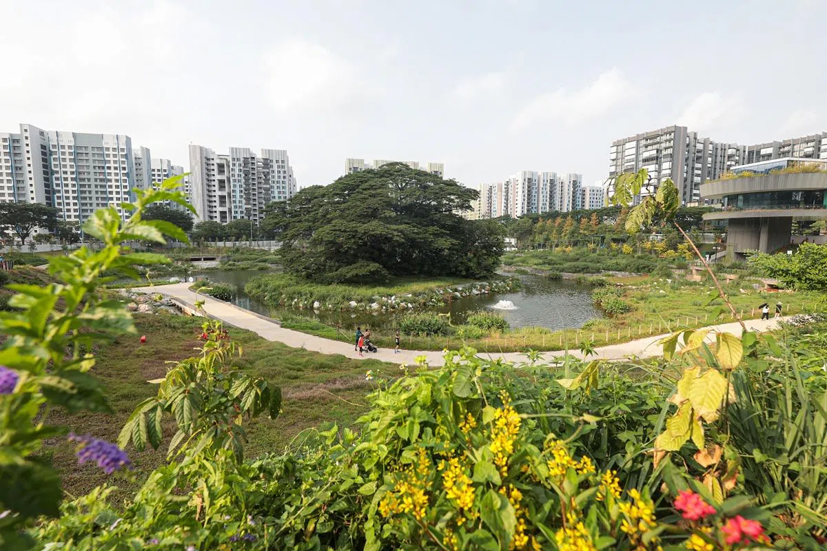 新加坡的新镇越来越像“童话世界”。（联合早报）