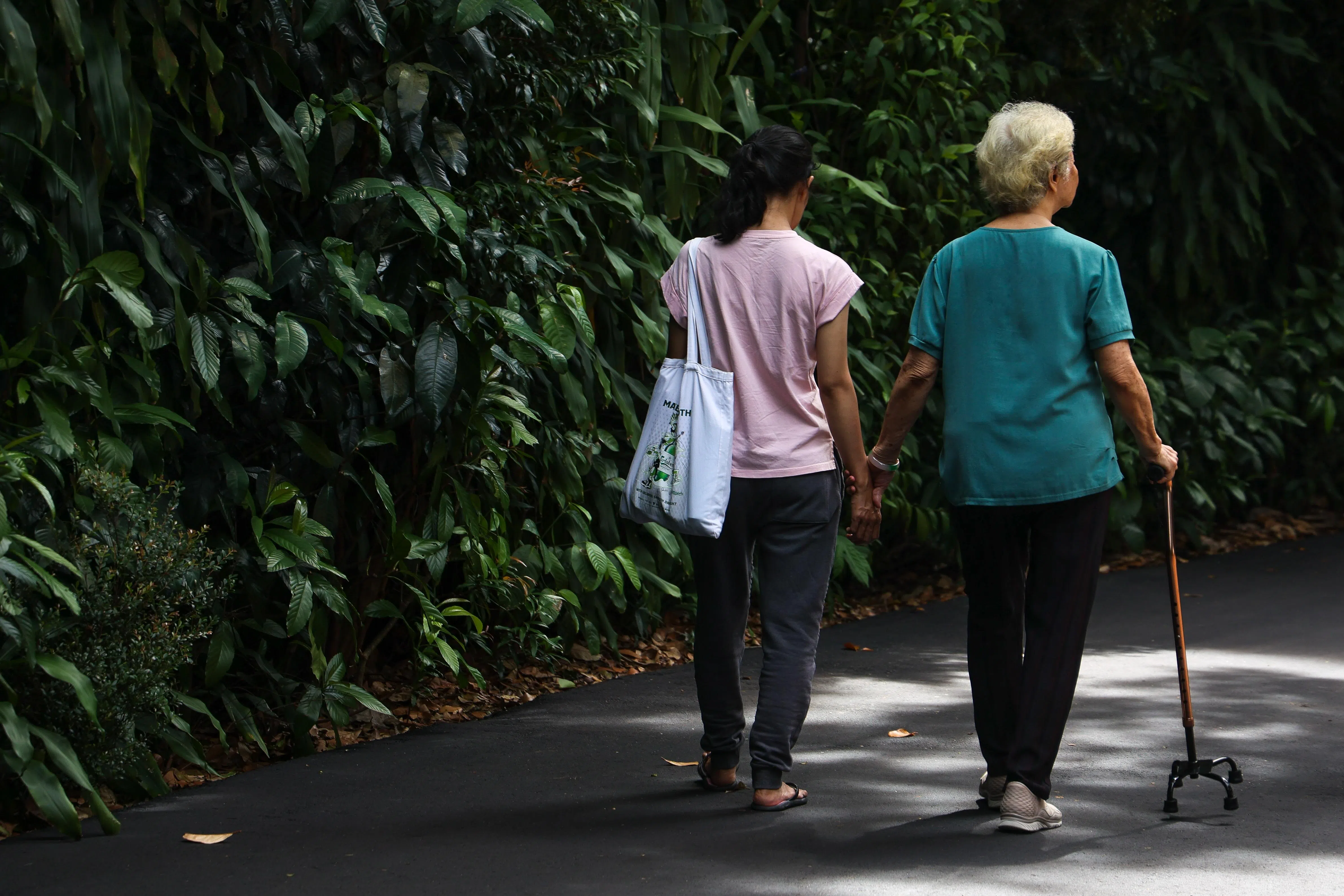 人口老龄化势必推高本地的医疗需求。