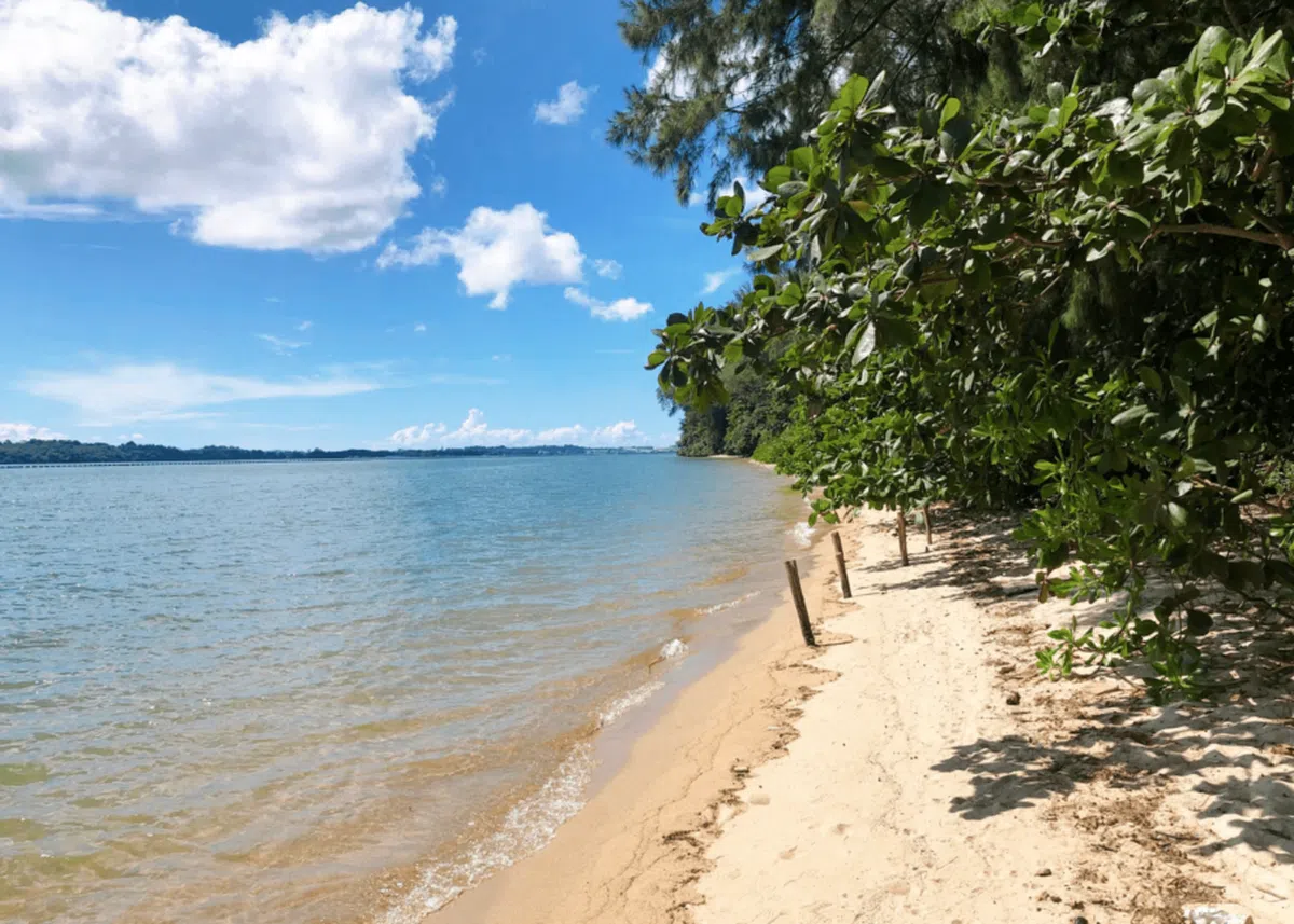  红蚂蚁查了查地图，这么茂密的一抹绿色，对面的岛应该就是乌敏岛。（互联网） 