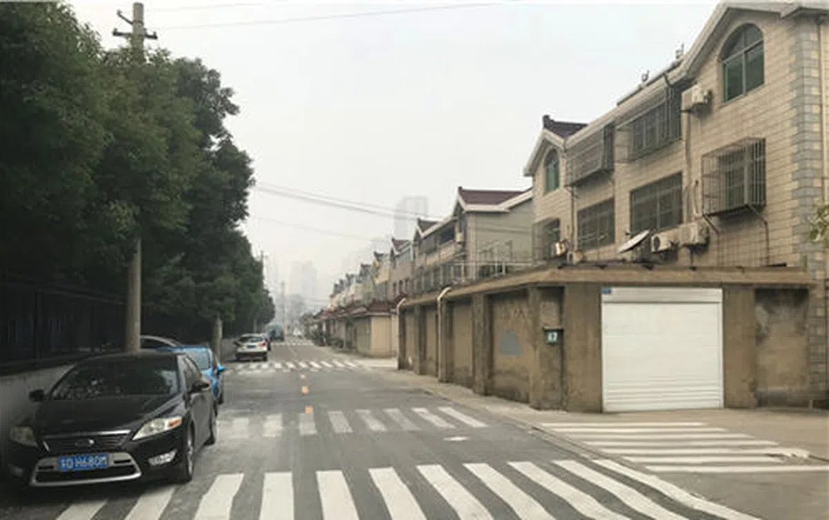  村里三四百米长的道路上，也画了无数道斑马线。（互联网） 