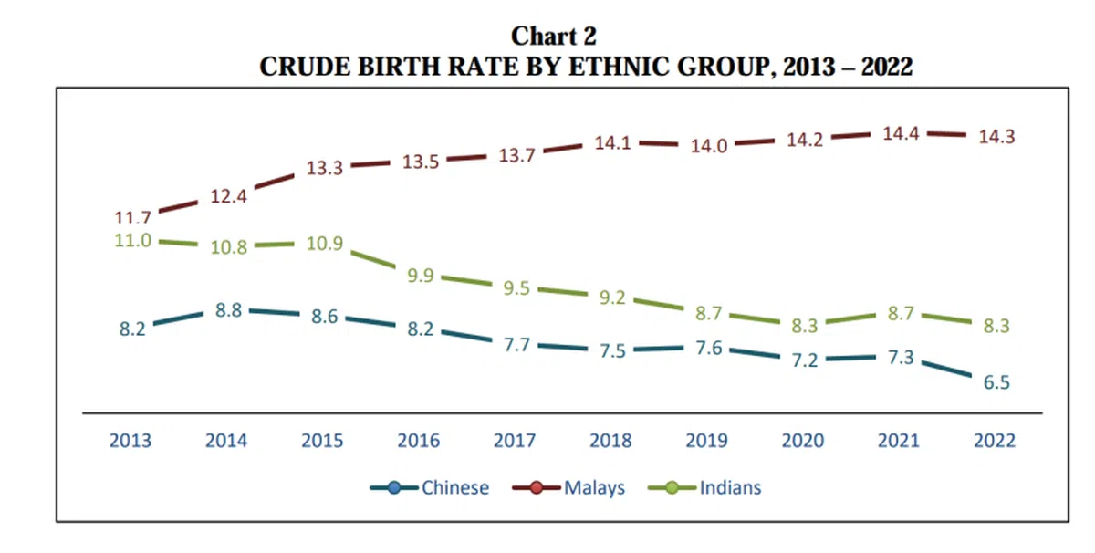 各族2013年至2022年的出生率。（移民与关卡局）