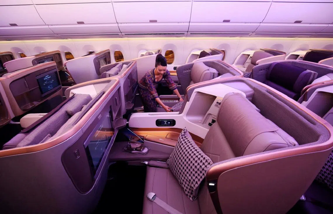 红蚂蚁也好想坐一次商务舱。（联合早报）