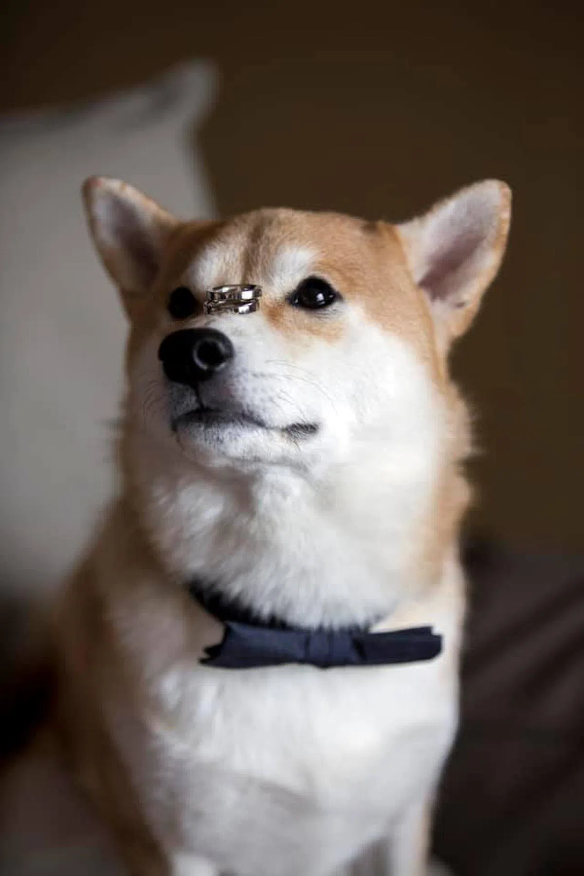  （李桓武面簿） 