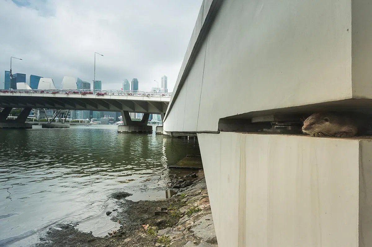  没有近视或老花的蚁粉，应该都能很快找到我。 