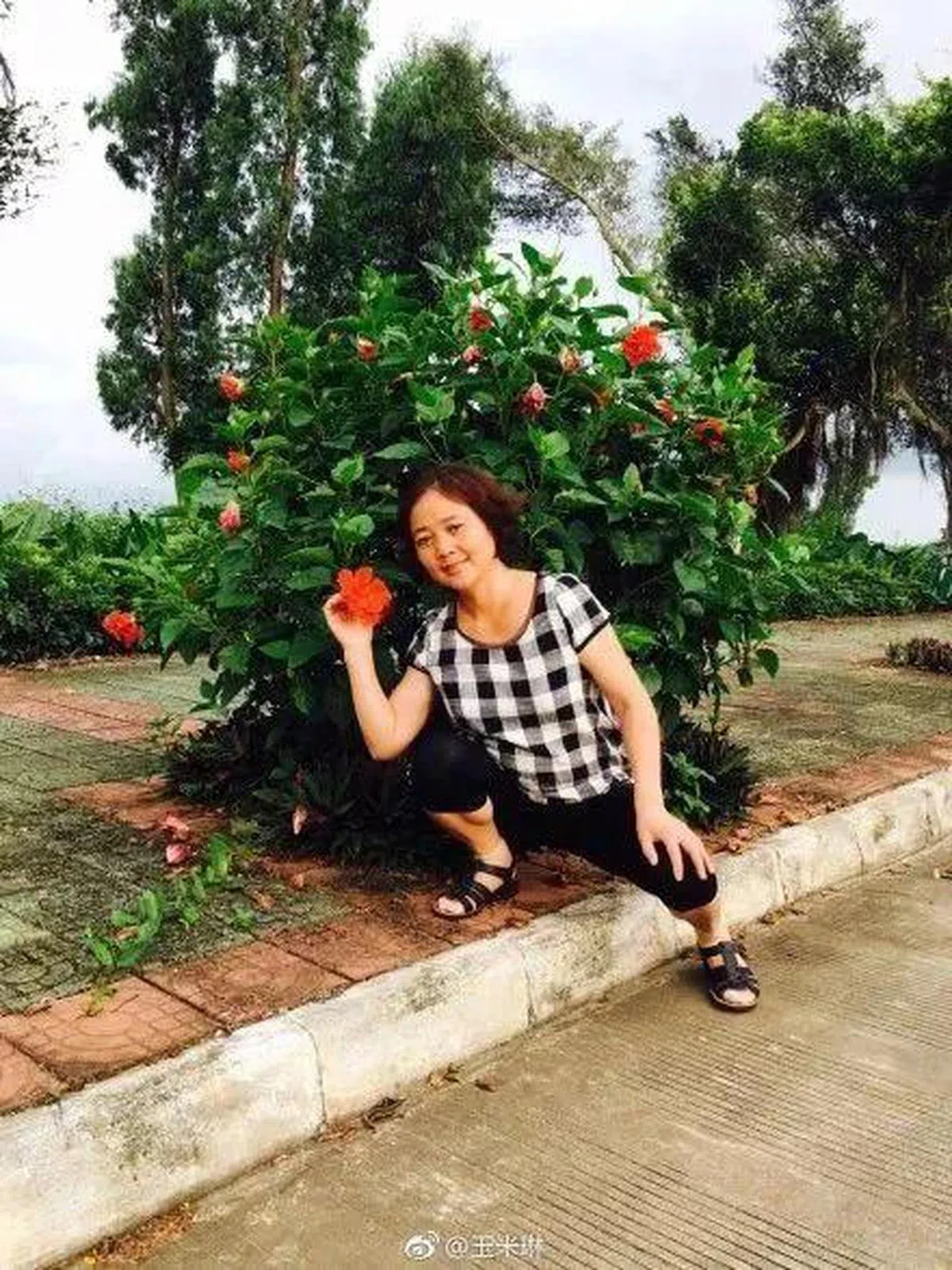  看到美丽的花朵一定会“手痒拉关系”。（互联网） 