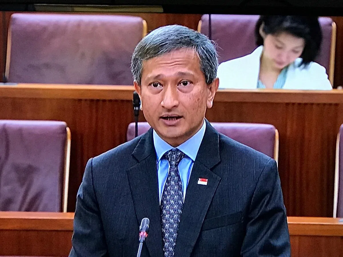  外交部长维文。（国会视频截图） 