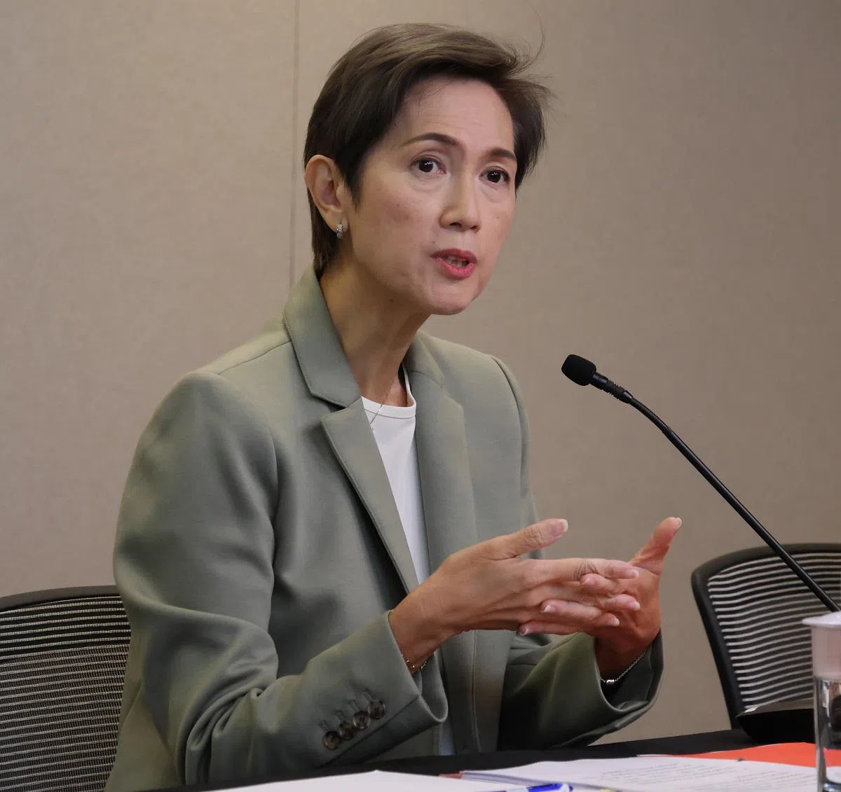 杨莉明：“识别“与”验证“是两个不同的概念。（联合早报）