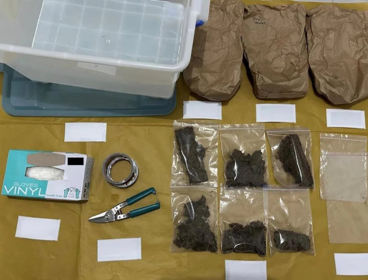 肃毒局在行动中起获的毒品和其他物品。（肃毒局提供）