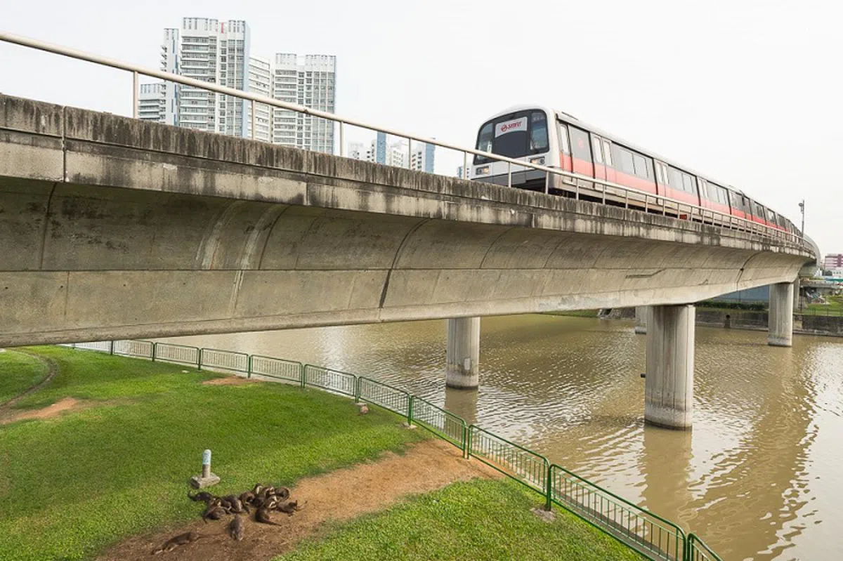  别人搭地铁，我们“游车河”。 