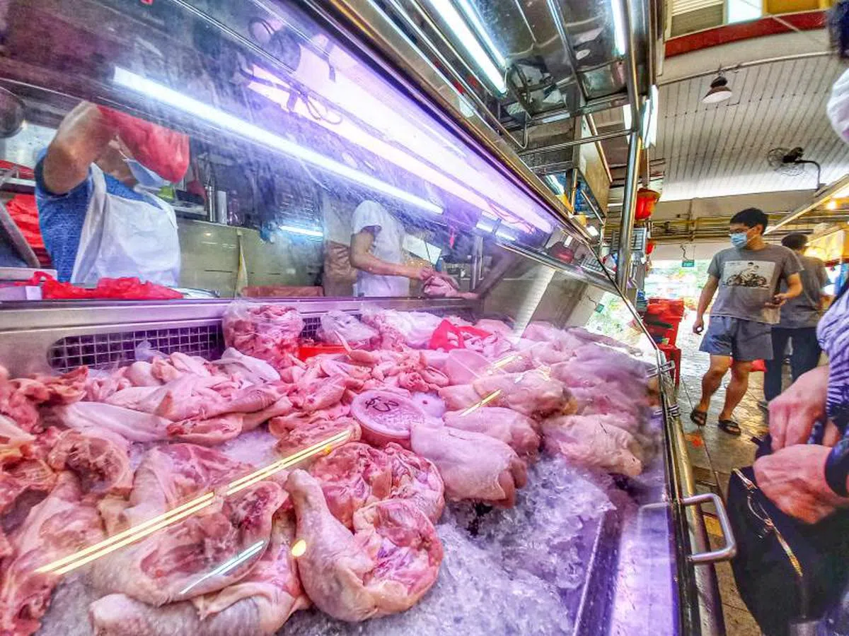 甘榜鸡据报将不受马国禁令影响。（联合早报）