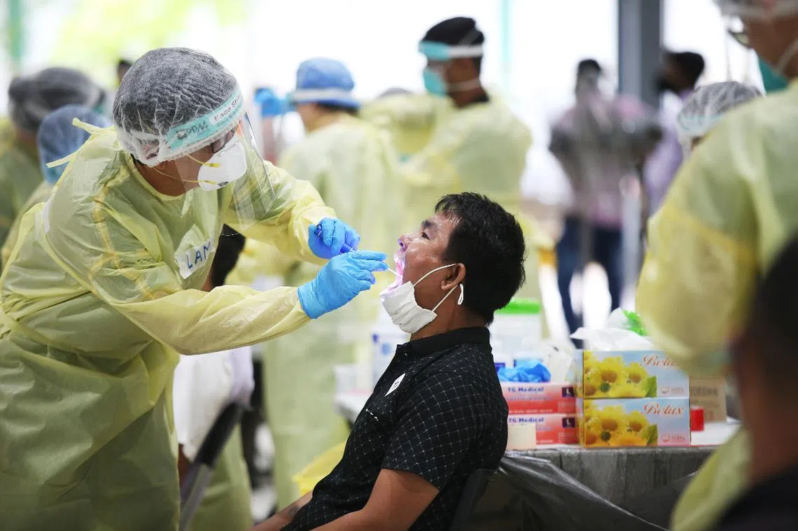 医护人员正为复工的客工进行例行检测。（联合早报）