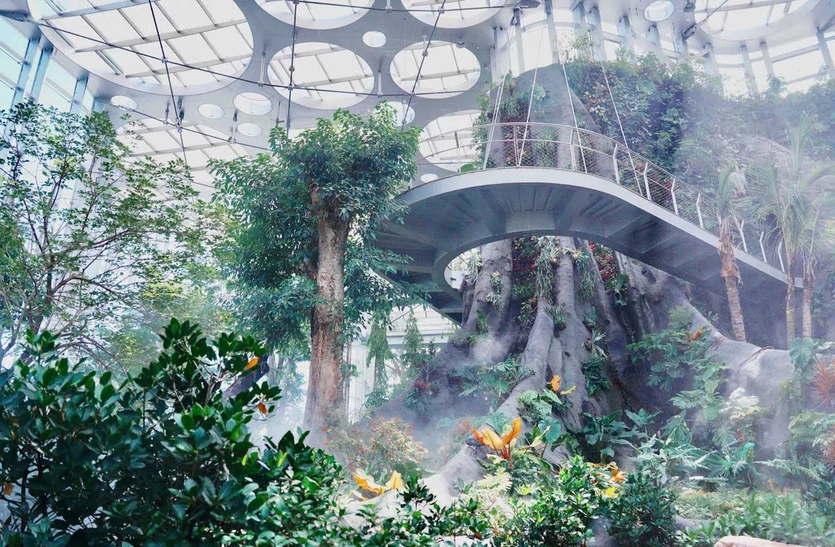 云上森林。（上海世博文化花园官网）
