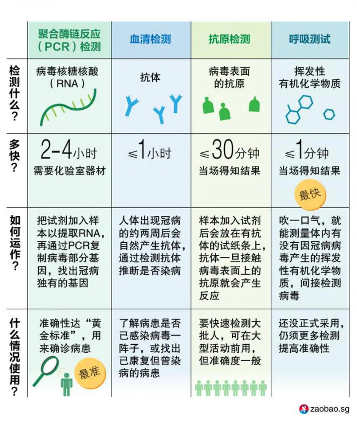  （联合早报） 
