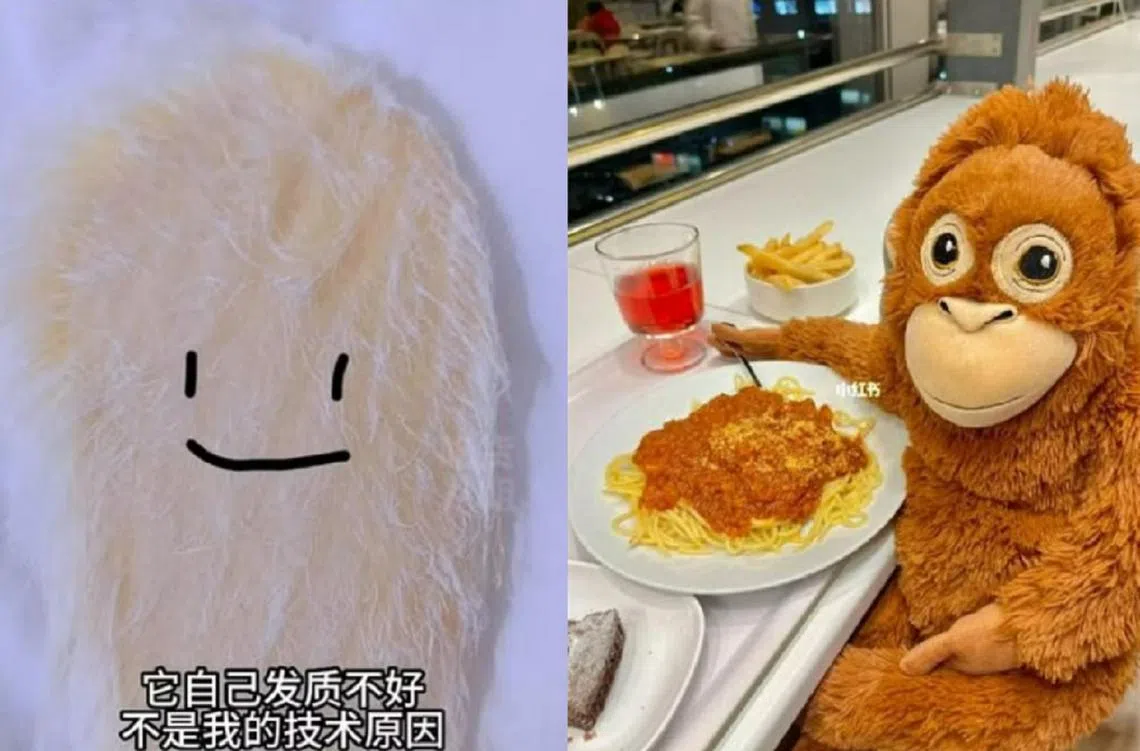 毛茸茸的芒果核（左）与猩猩绒毛玩偶（右）近来比猫狗更受中国年轻人欢迎。（小红书截图、红蚂蚁制图）