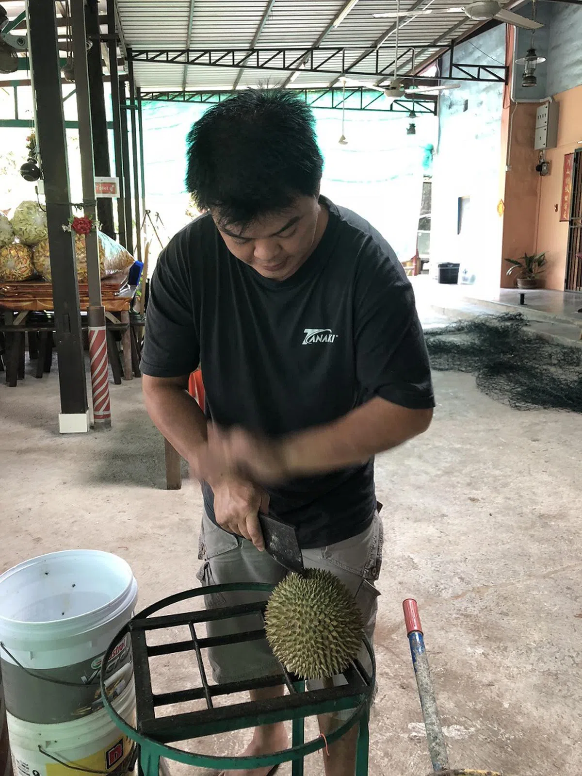  陈鲸竹是第三代的果农，全家就住在院内的百年石屋里。（叶孝忠摄） 