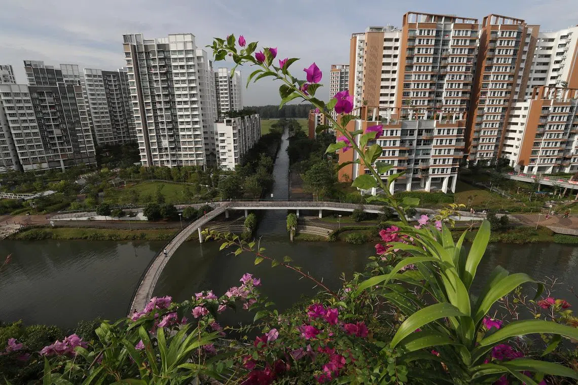 位于榜鹅水道（My Waterway@Punggol）的预购政府组屋环境优美。（海峡时报）