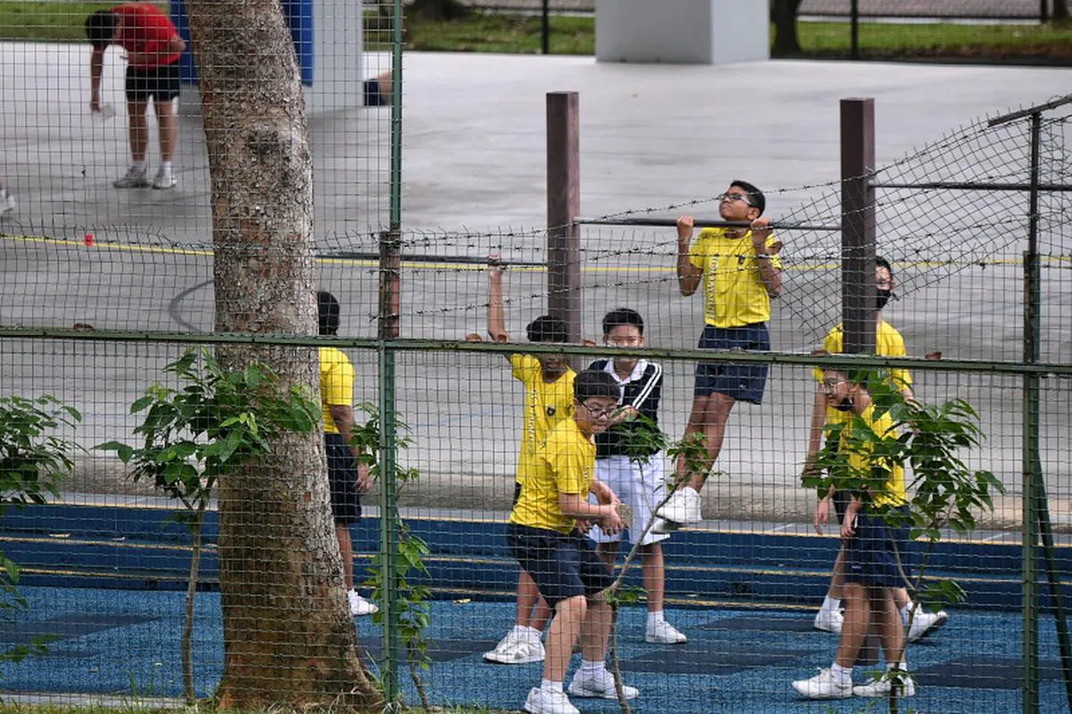 本地学生在学校里运动。（海峡时报）