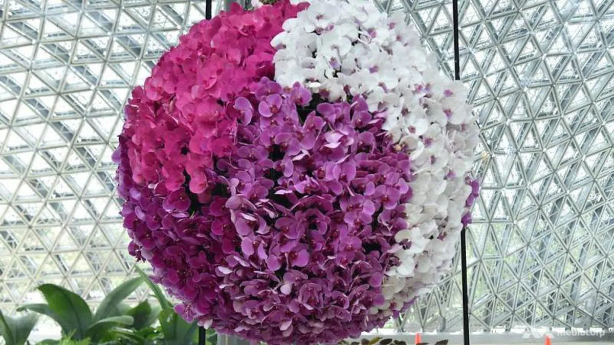  一进门就能看见的“花球” （亚洲新闻台） 